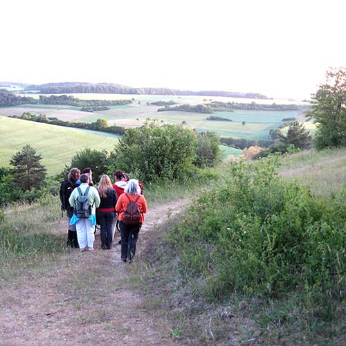 Im Grünbachtal - Foto Birgit Jacob